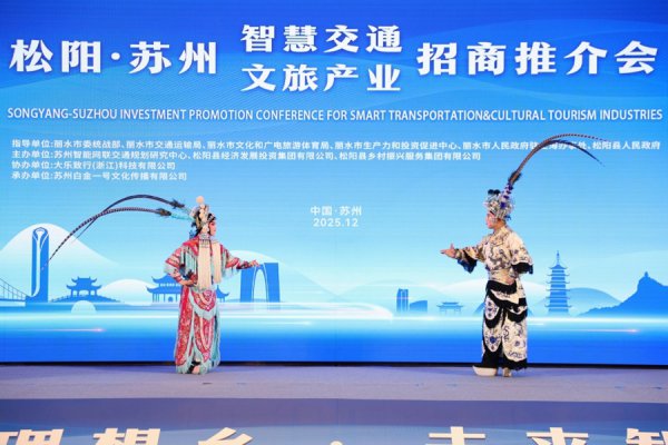 一手牵传统、一手向将来，松阳凭什么“热”力全开？